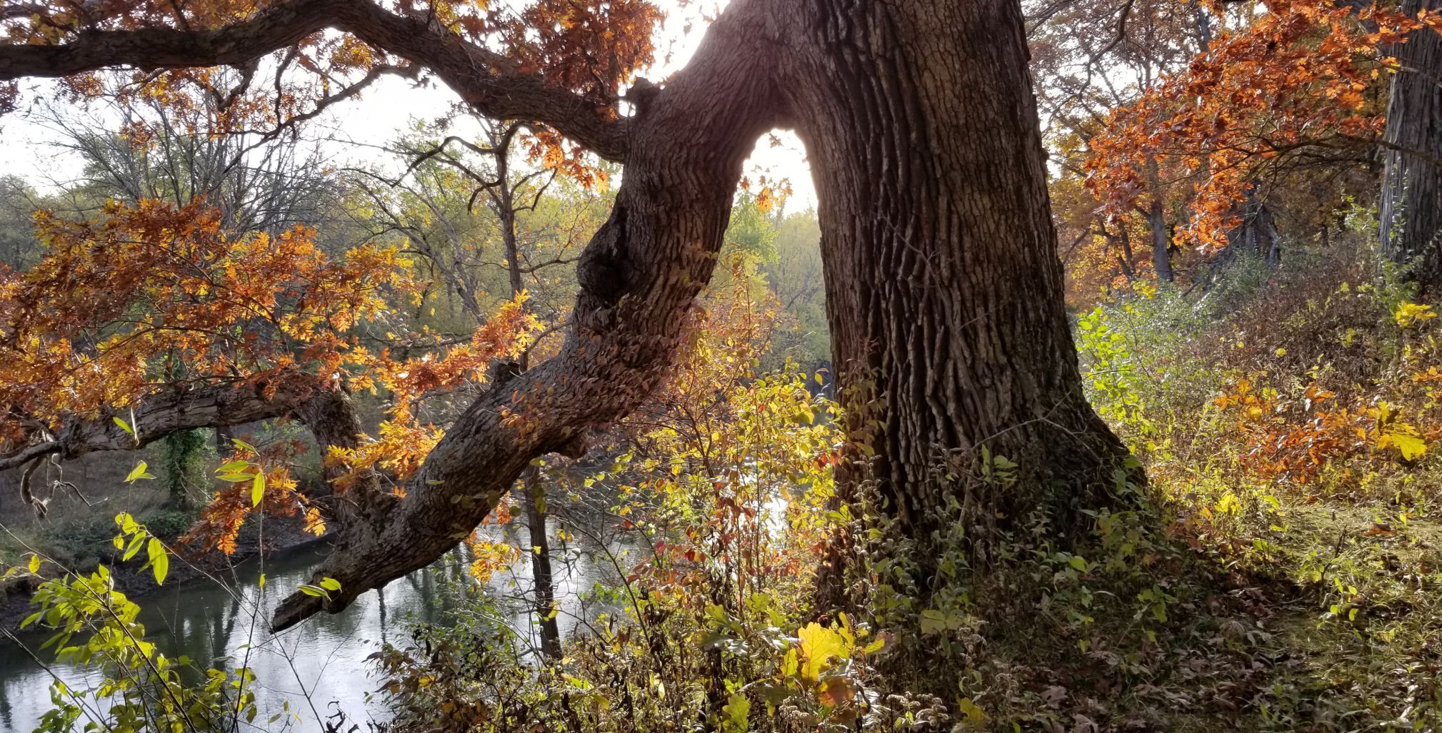20211118_185237.jpg